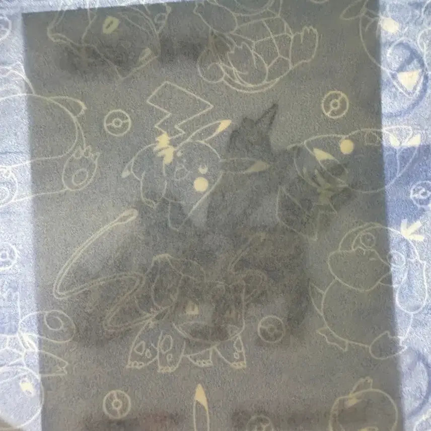 [BUNJANG] Pokemon 30th Anniversary Kyurem Tteobuseal Sticker - Sealed / 미개봉 포켓몬 30주년 큐레무 띠부씰