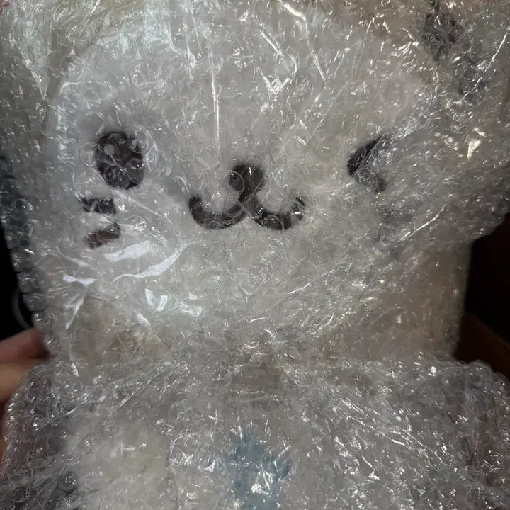 [BUNJANG] NCT WISH Bubble Cat 30cm Doll (Sealed) / 엔시티 위시 버블냥 30cm ( 미개봉)