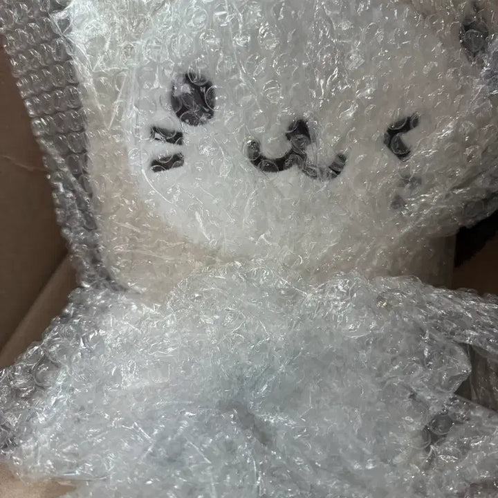 [BUNJANG] NCT WISH Bubble Cat 30cm Doll (Sealed) / 엔시티 위시 버블냥 30cm ( 미개봉)