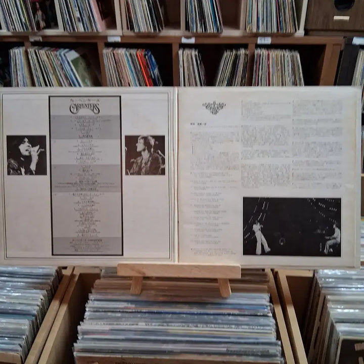 [BUNJANG] Carpenters Double LP / 소장가치 카펜터스 Carpenters 더블  LP