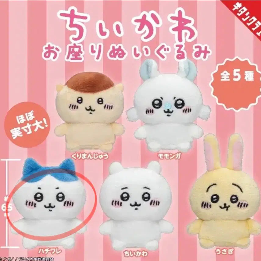 [BUNJANG] Chiikawa Hachiware Seated Plush Gacha Vol. 1 (Sealed) / 미개봉 치이카와 앉은 누이 가챠 1탄 하치와레 앉은누이