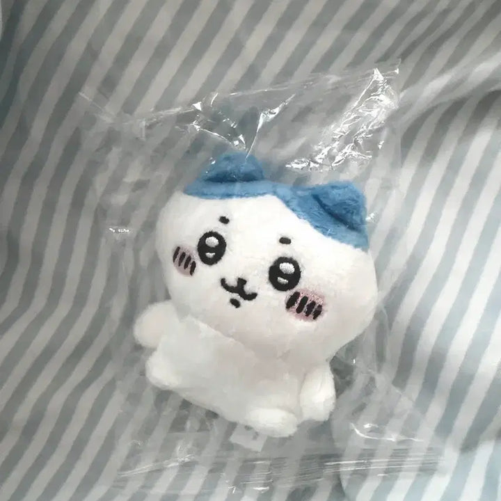 [BUNJANG] Chiikawa Hachiware Seated Plush Gacha Vol. 1 (Sealed) / 미개봉 치이카와 앉은 누이 가챠 1탄 하치와레 앉은누이