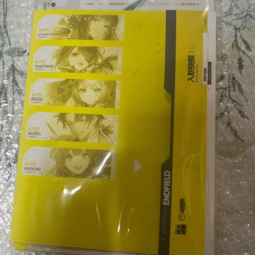 [BUNJANG] Arknights Endfield Goods Postcard Set 3.0 / 명일방주 엔드필드 굿즈 엽서세트 3.0