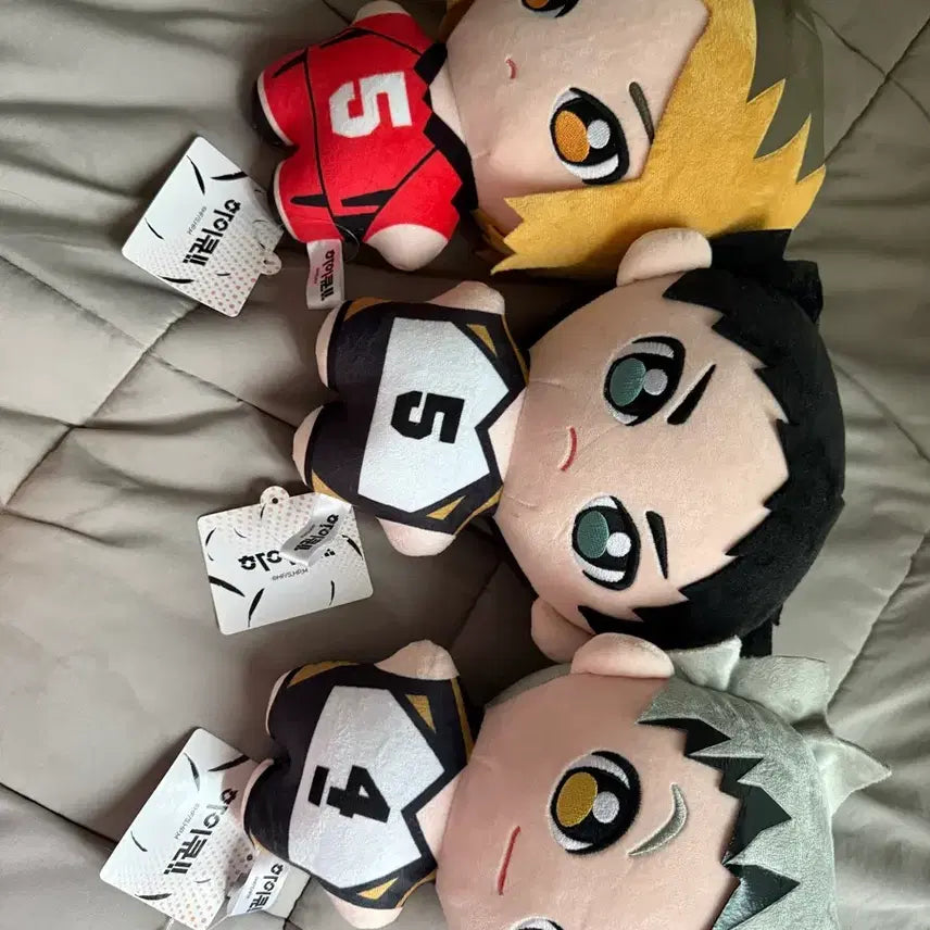 [BUNJANG] Haikyu!! Kenma Bokuto Akaashi Plush Doll Bundle Set / 하이큐 인형 켄마 보쿠토 아카아시 일괄
