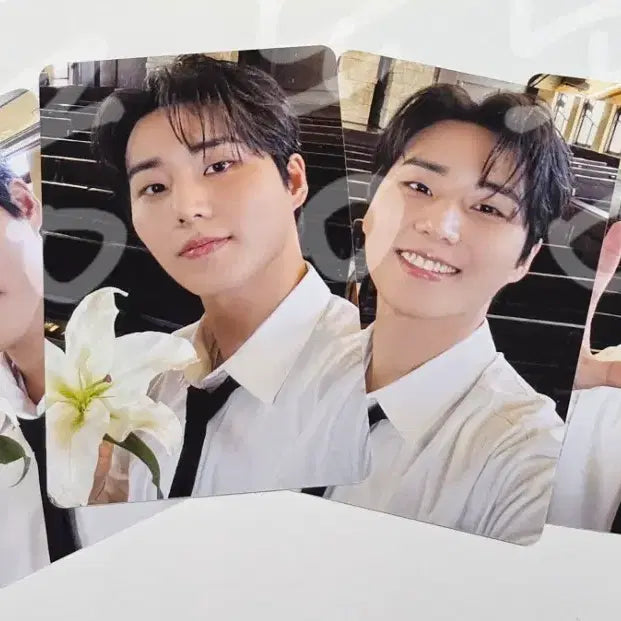 [BUNJANG] DAY6 Young K Dicon Type B Photocard Bundle Set / 데이식스 영케이 디아이콘 B타입 포카