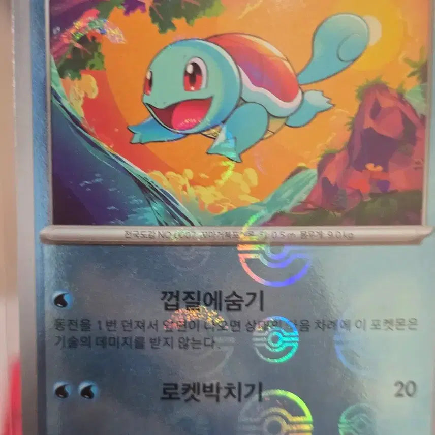 [SOLD OUT] 포켓몬 카드 꼬부기/파이리/리자드 몬볼 일괄