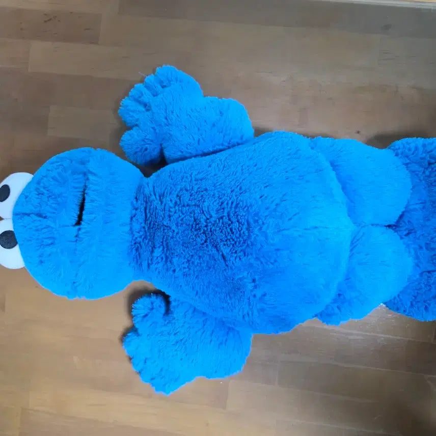 [BUNJANG] Sesame Street Cookie Monster Plush Doll Singapore Universal Studios Exclusive / 세서미스트리트 쿠키몬스터 봉제인형 싱가폴 유니버설스튜디오 구매