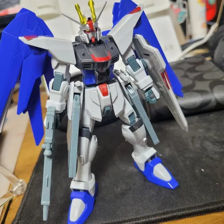 [BUNJANG] HG Freedom Gundam (Old Release) / 구판 HG 건담 프리덤