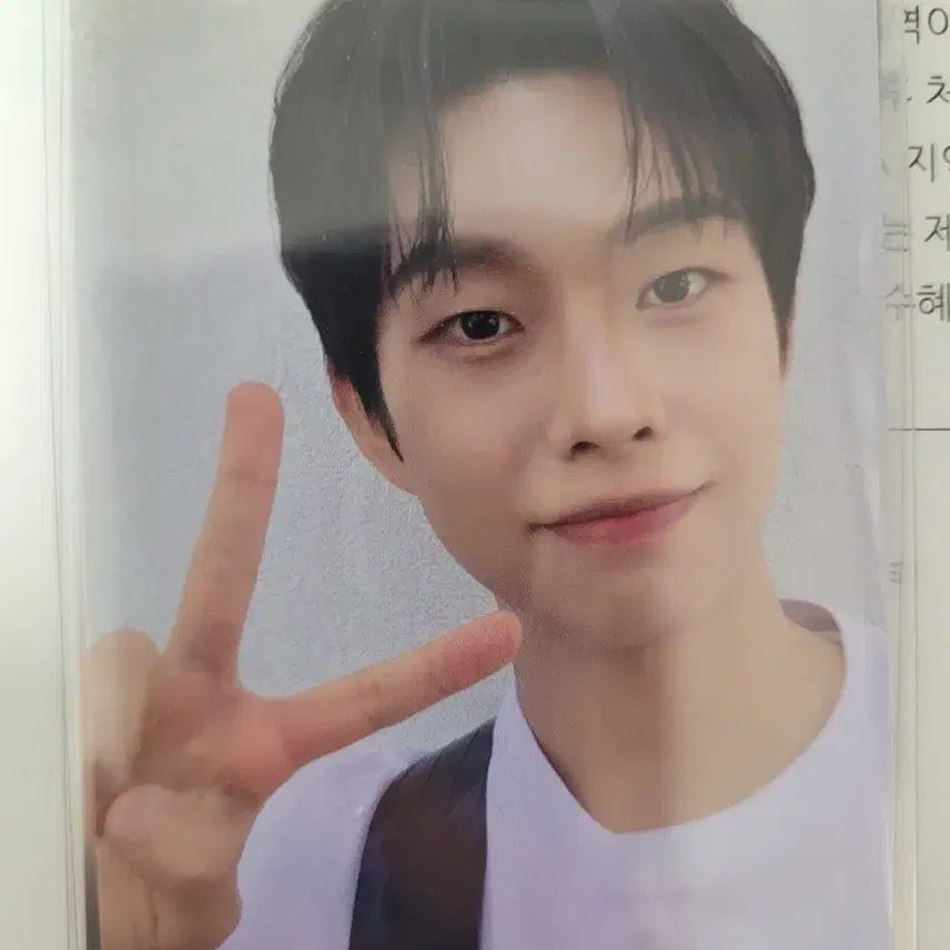 [BUNJANG] LUCY Island Concert Siru Photocard Sangyeop / 루시 섬콘 시루 MD 5만원 이상 구매 포카 상엽