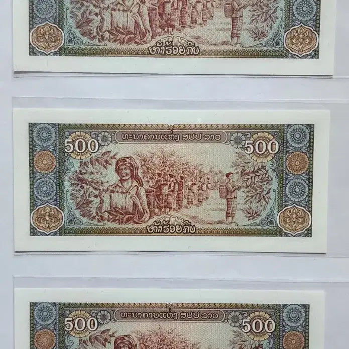 [BUNJANG] Laos 500 Kip Banknotes (3-Piece Bundle Set) / 라오스 500킵 지폐              (3장 일괄)