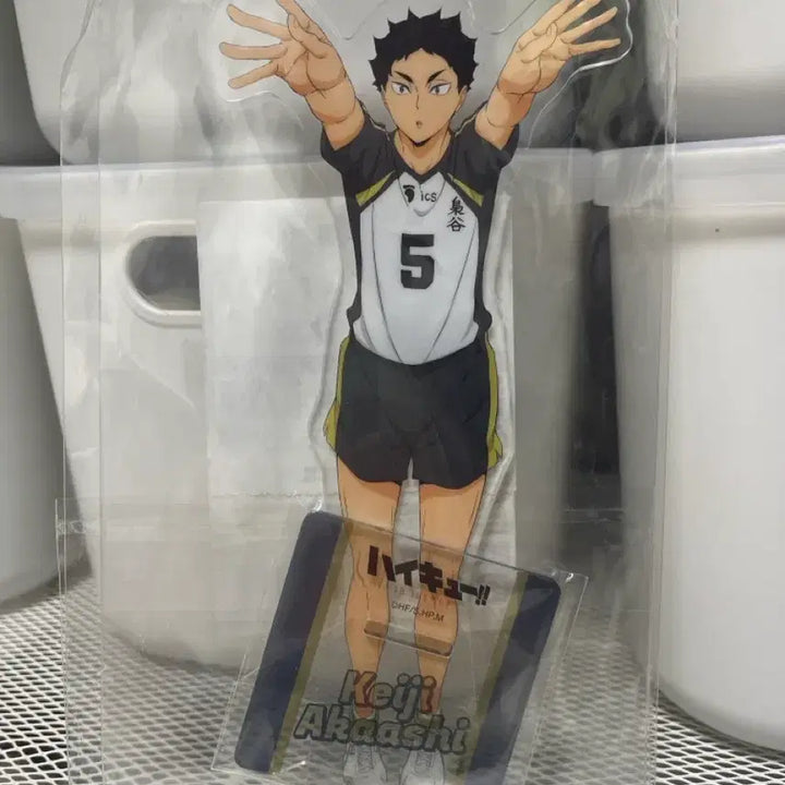 [BUNJANG] Haikyuu!! Akaashi Acrylic Stand / 하이큐 아카아시 아크릴