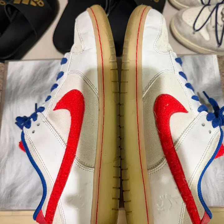 [BUNJANG] Nike Dunk Low Retro Premium Year of the Rabbit Men&
