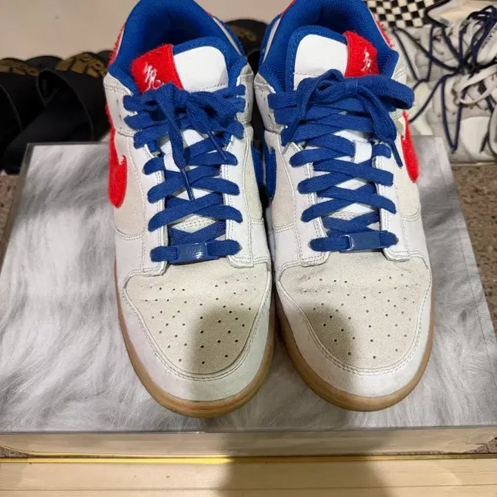 [BUNJANG] Nike Dunk Low Retro Premium Year of the Rabbit Men&