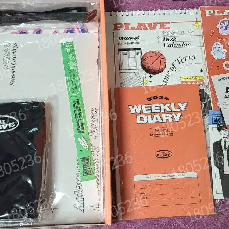 [BUNJANG] PLAVE 2024 Season&