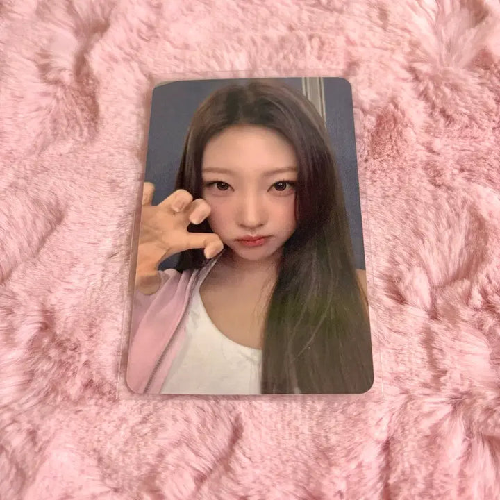 [BUNJANG] Stellarim Stella Photocard / 하투하 스텔라 포커스 스타리버 포카 판매 하츠투하츠