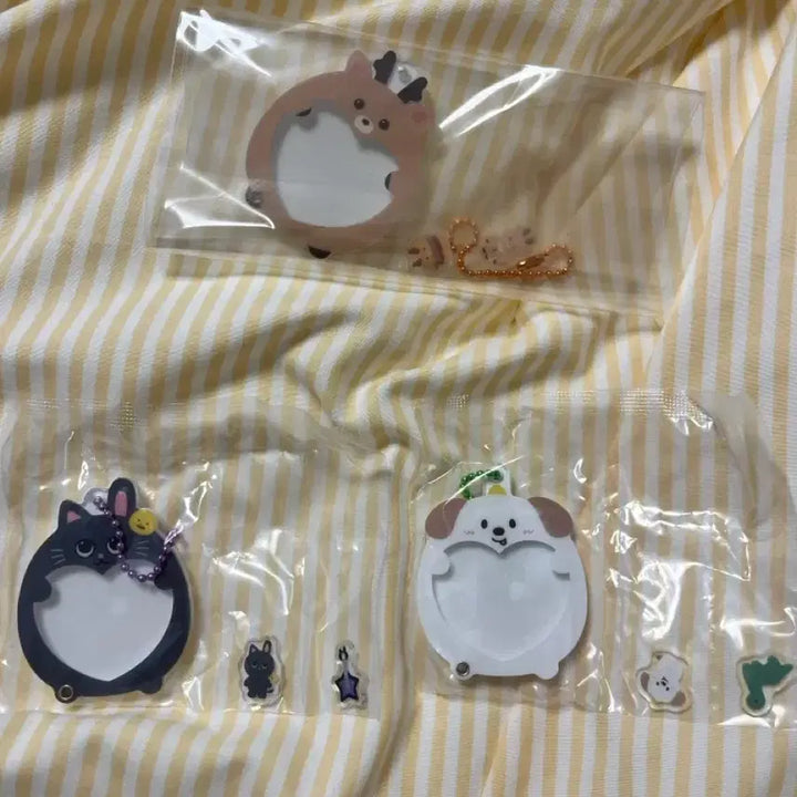 [BUNJANG] RIIZE Bandai Shakka Shakka Gacha Goods Sungchan Wonbin Chaeyoung / 라이즈 샤카샤카 반다이 가챠 굿즈 성찬 원빈 찬영