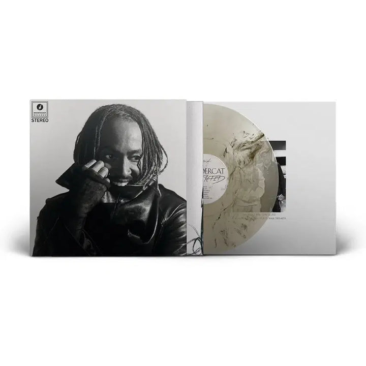 [BUNJANG] Thundercat Distracted LP Smoke Marbled Limited Edition / 썬더캣 Distracted lp 스모크 마블 한정반