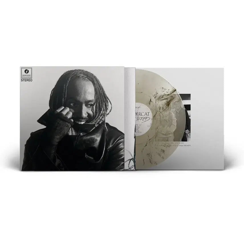 [BUNJANG] Thundercat Distracted LP Smoke Marbled Limited Edition / 썬더캣 Distracted lp 스모크 마블 한정반