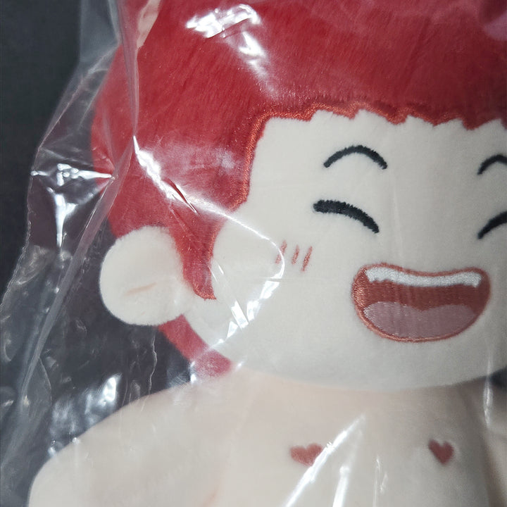 [BUNJANG] Slam Dunk Sakuragi Hanamichi 20cm Plush Doll / 슬램덩크 강백호 솜인형 강백호 인형 20cm