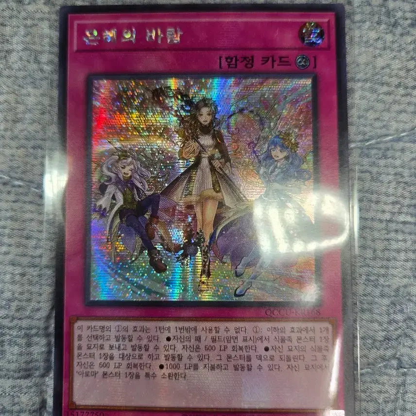[BUNJANG] Yu-Gi-Oh! Graceful Charity Secret Rare / (유희왕) 은혜의 바람 (시크)