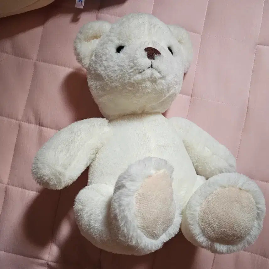 [BUNJANG] Rabbit Plush Doll &amp; Bear Plush Doll Bundle Set / 토끼인형이랑 곰인형 팝니다