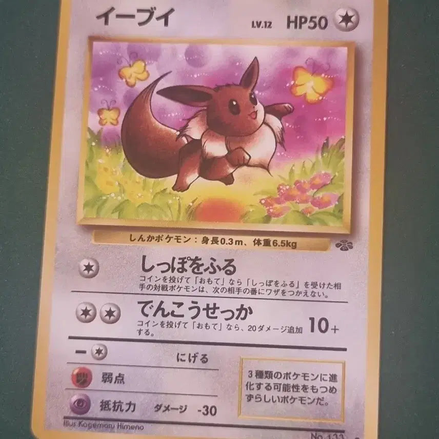 [BUNJANG] Pokemon Eevee Set (Japanese Old Back Vintage, 2x Korean Promo, 1x North American Promo) / 포켓몬카드 이브이 세트(일판 올드백 빈티지, 한판프로모2장,북미판프로모)