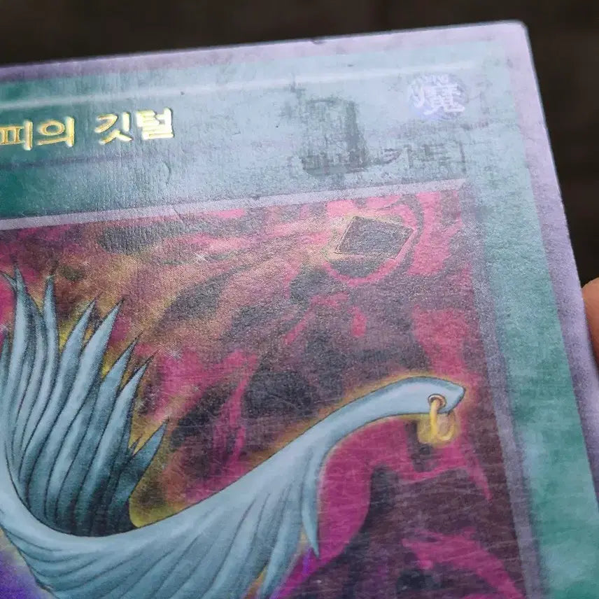[BUNJANG] Yu-Gi-Oh! Harpie&