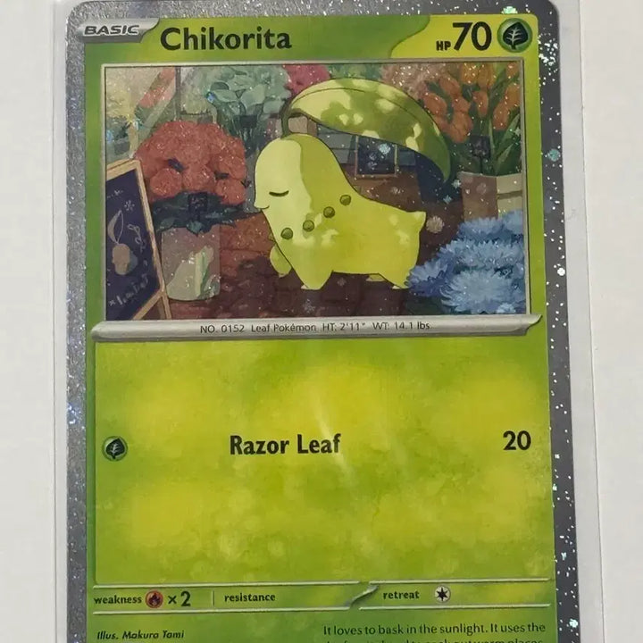 [BUNJANG] Pokemon International Edition Chikorita Promo Card / 포켓몬스터 북미판 치코리타 프로모 카드
