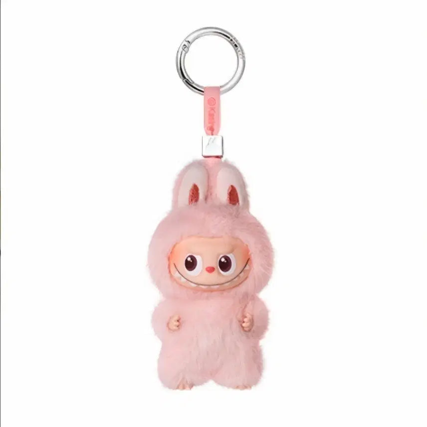 [BUNJANG] POP MART Authentic Sealed Labubu Mini Password Password / [팝마트 정품/미개봉] 내 마음속 비밀번호 미니 라부부 G
