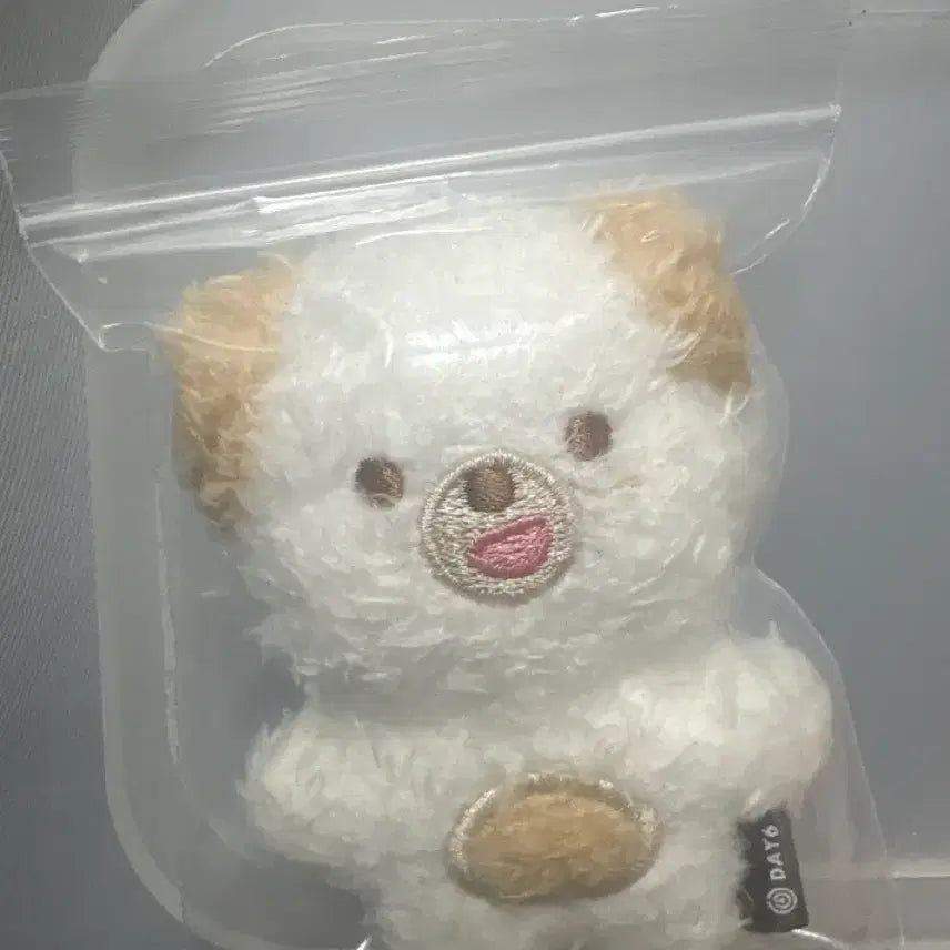 [BUNJANG] Day6 Denimals Magnet Ver. Doll / 데이식스 데니멀즈 마그넷 ver.인형