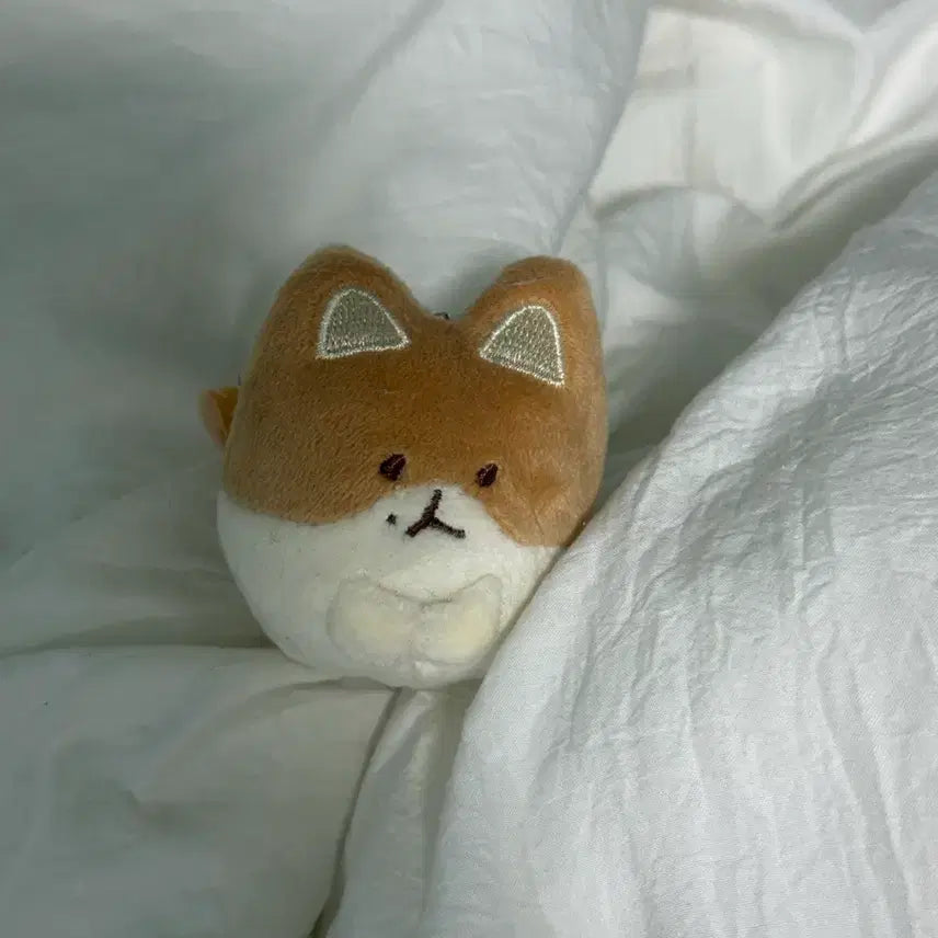 [BUNJANG] Baekhyun "Mongryong A Son" Plush / 백현 터래기 몽룡아 손