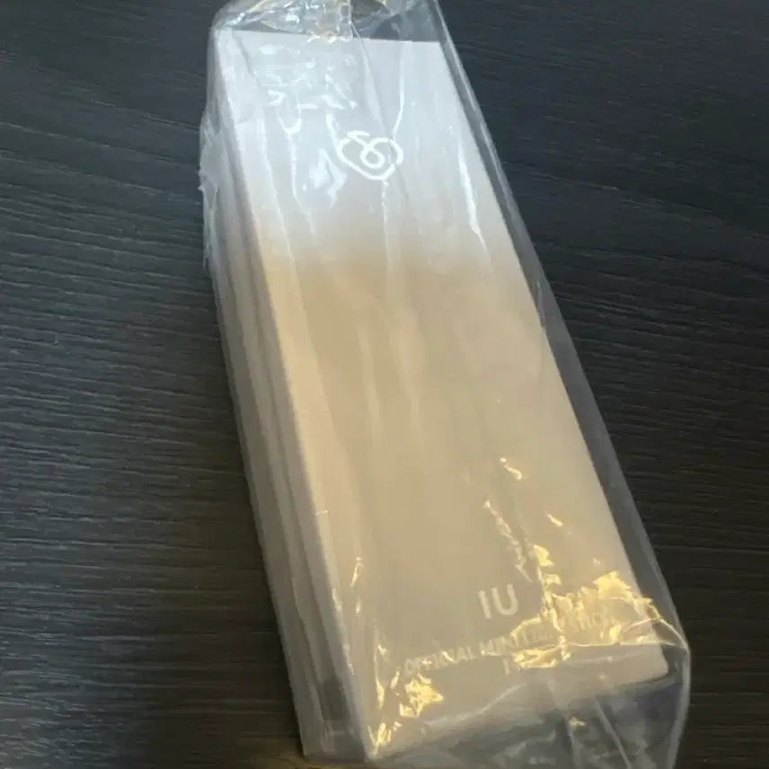 [BUNJANG] IU Mini IC Keychain / 아이유 미니 아이크 키링