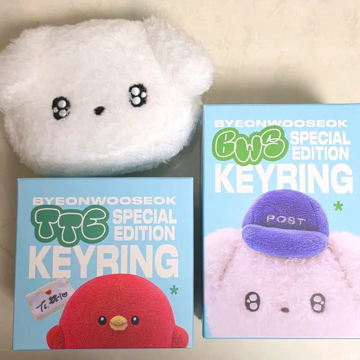 [BUNJANG] Byeon Woo Seok TTE Special Edition Keyring / Pouch Bundle Set / 변우석 BWS, TTE 스페셜 에디션 키링 / 파우치 일괄