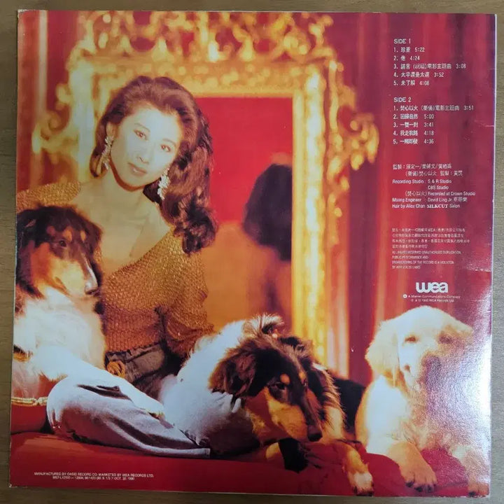 [BUNJANG] Sally Yeh The True Love LP / 엽천문 - 진중 lp