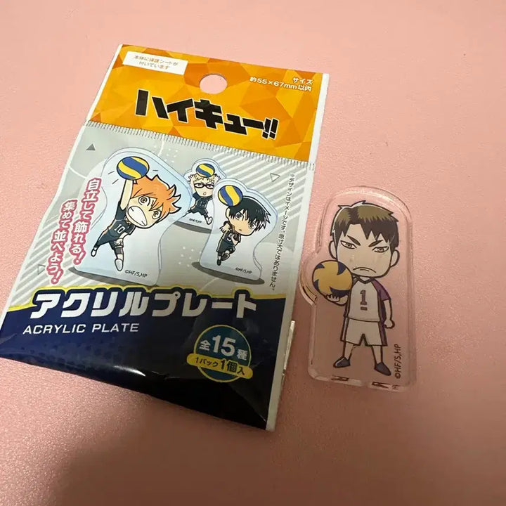 [BUNJANG] Daiso Haikyuu!! Ushijima Wakatoshi Acrylic Stand / 다이소 하이큐 우시지마 아크릴