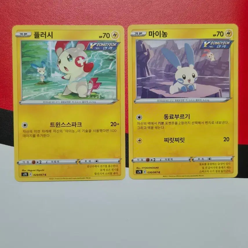 [BUNJANG] Pokemon Card Plush Minong Set / 포켓몬 카드 플러시 마이농 세트