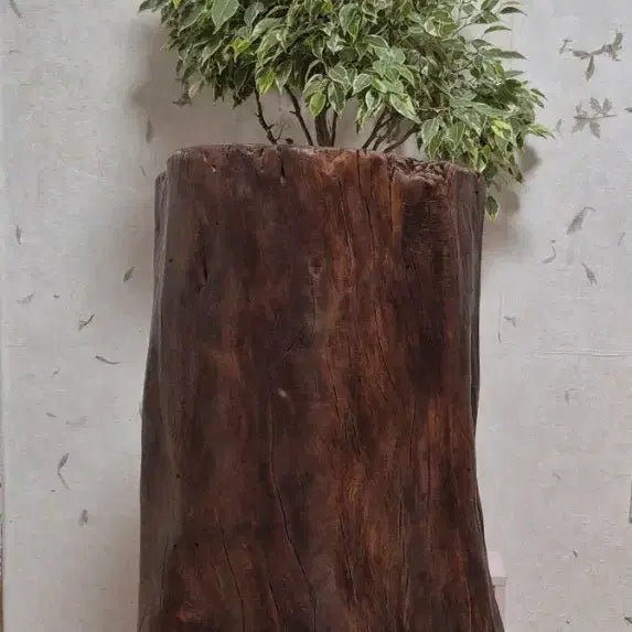 [BUNJANG] Pine Wood Mortar and Pestle / 절구