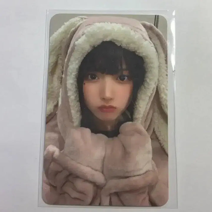 [BUNJANG] Everline Lucky Draw Jiwoo Rabbit Blanket Photocard / 에버라인 럭드 지우 토끼담요 포카 양도