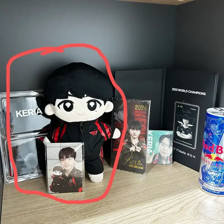 [BUNJANG] Keria 2024 World Championship Winner Outfit Doll Full Box / 케리아 인형 풀박 24월즈 우승 옷 포함 풀박