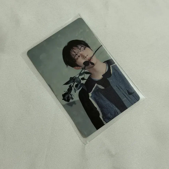 [BUNJANG] NCT WISH Ryo Odd to Love Photocard / 엔시티 위시 오드투러브 료 포카