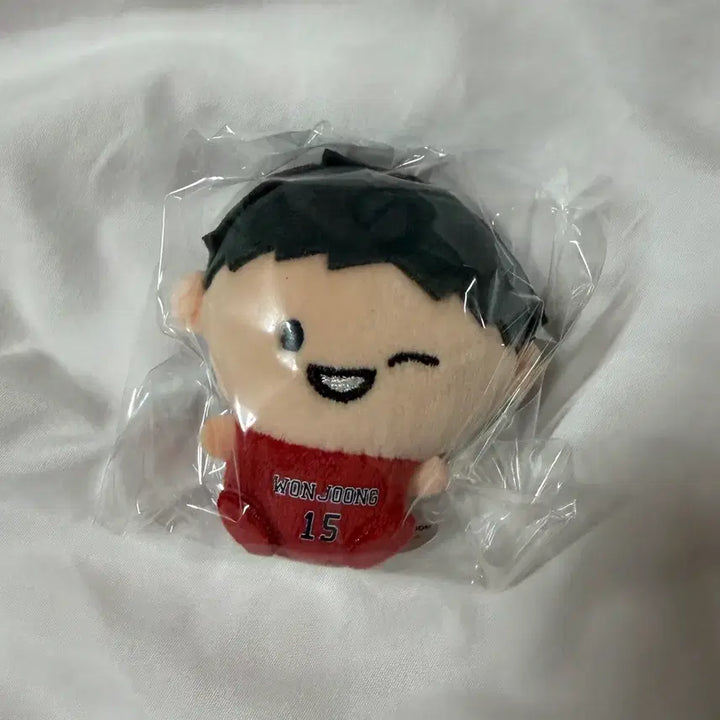 [BUNJANG] Garbage Time Jae-seok Cho Mini Plush Doll / 가비지타임 작뿡인형 브로치 조재석