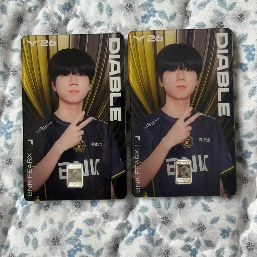 [BUNJANG] Korea Minting Corporation Diablo Silver Card / lck 한국조폐공사 디아블 실버카드