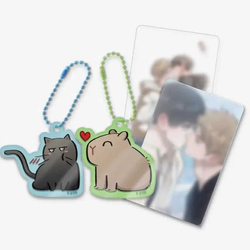 [BUNJANG] Hongsil Quest Magnetic Acrylic Keyring Set Rebom / 미개봉) 홍실퀘스트 자석 아크릴 키링 세트 레봄