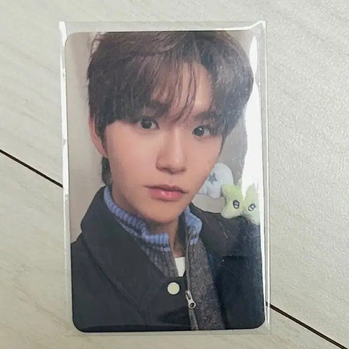 [BUNJANG] NCT WISH WISH Ver. Group Photocard / 엔시티 위시 위츄 판매합니다!