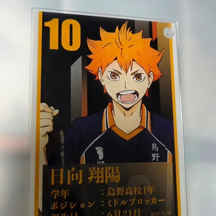 [BUNJANG] Haikyuu!! Hinata Acrylic Card / 하이큐 아크릴카드 히나타