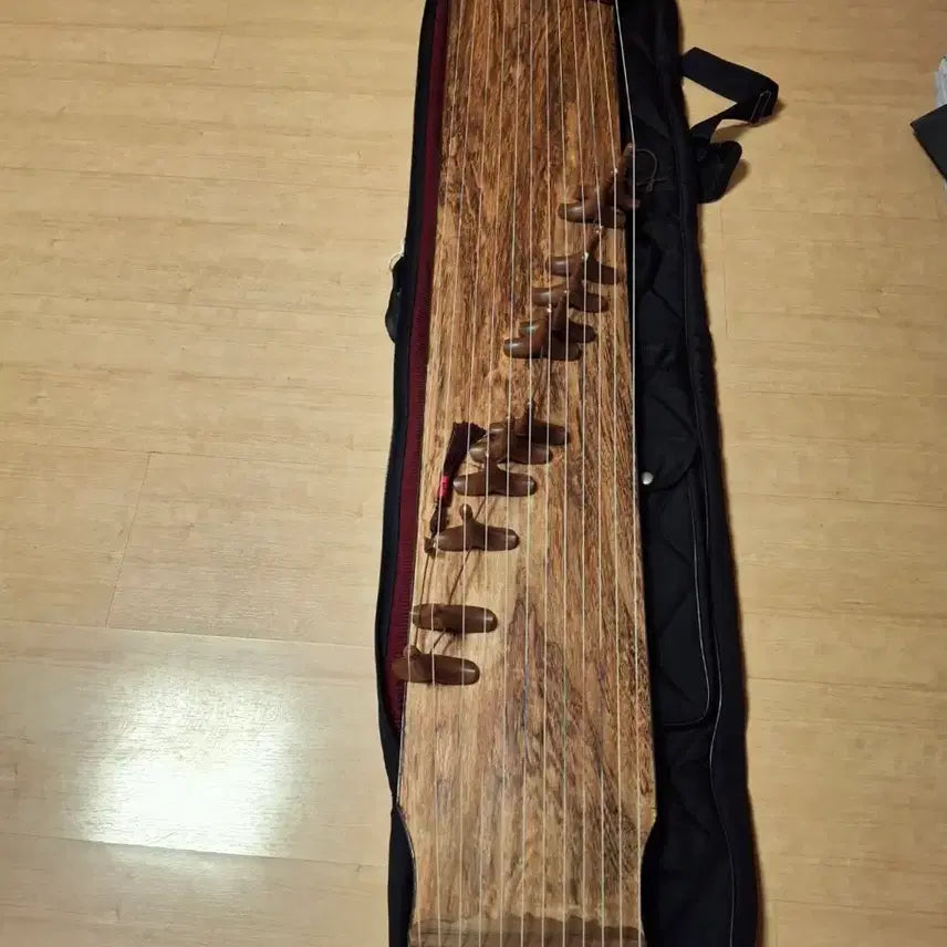[BUNJANG] 12-String Gayageum for Performing Arts Admissions / 예고 입시용 12현 가야금