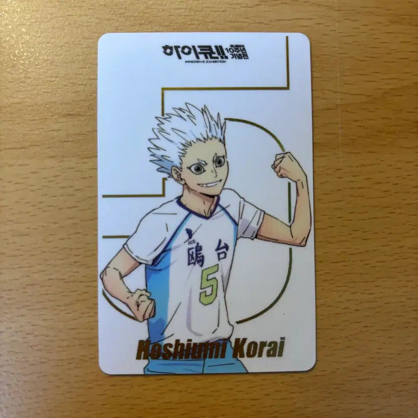 [BUNJANG] Haikyuu!! Hoshiumi Korai 10th Anniversary Commemorative Card / 하이큐 호시우미 코라이 10주년 기념전 카드