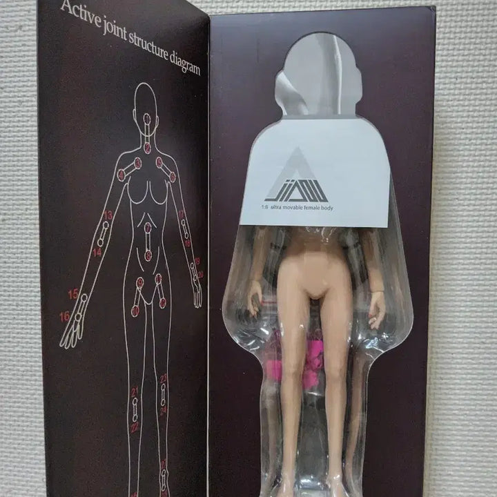 [BUNJANG] JIAOU DOLL 1/6 Scale Silicone Seamless Female Body 3.0 Slender Type / JIAOU DOLL 1/6 실리콘 심리스 여성  바디 3.0 슬렌더 체형