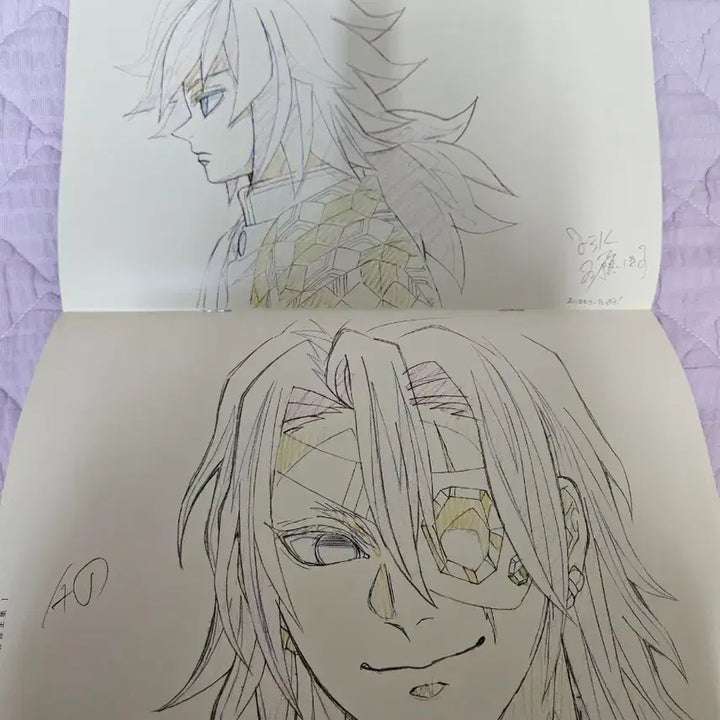 [BUNJANG] Demon Slayer: Kimetsu no Yaiba Joint Training Arc Japanese Artbook / 귀칼 합동강화훈련편 일본어 책자 원화집 포함