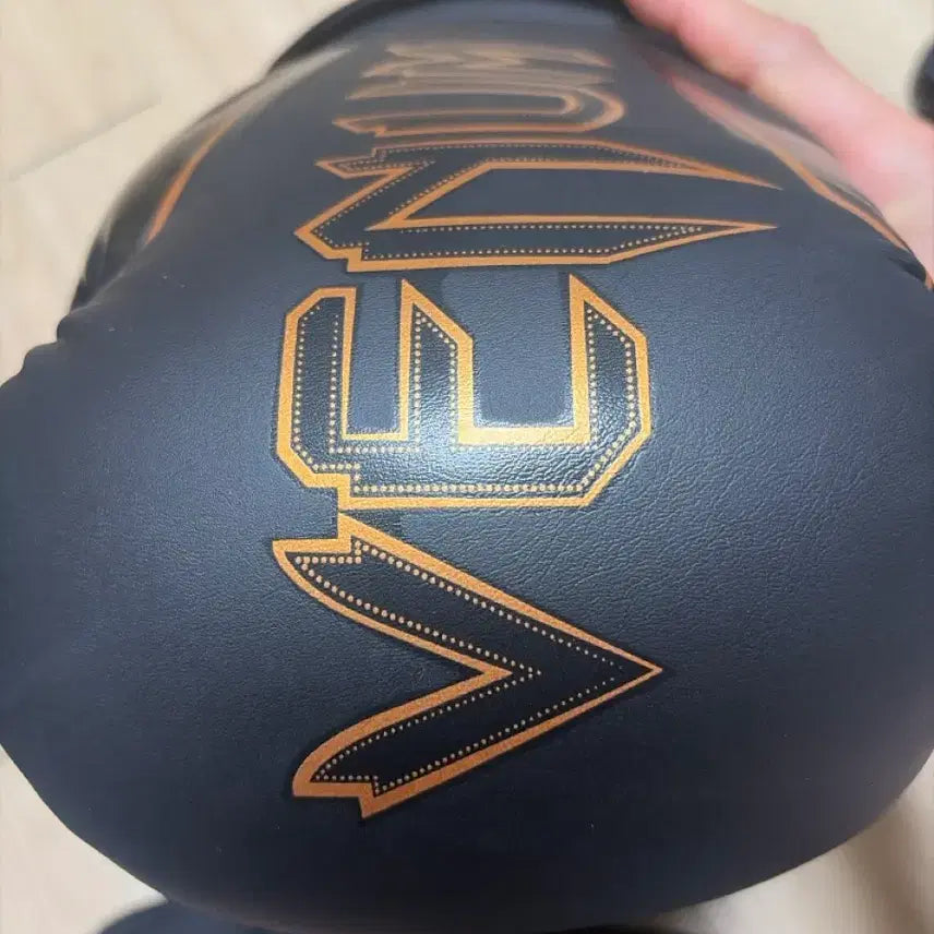 [BUNJANG] Venum Elite Boxing Gloves &amp; Wrestling Shoes / 베넘 엘리트 복싱 글러브 &amp; 레슬링화